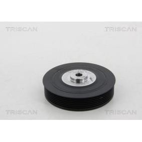 Riemenscheibe, Kurbelwelle 8643 25002 von TRISCAN günstig für 56,50 € online kaufen