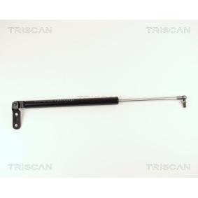 Compre Maletero de TRISCAN online para 100 NX (B13) a precios moderados