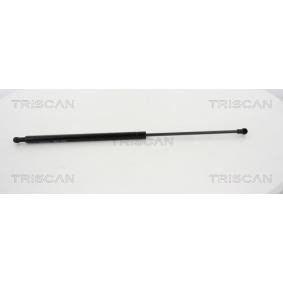Compre Amortecedor de capô de TRISCAN online para KAPPA Coupé (838) a preços moderados