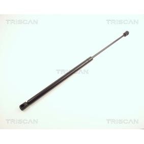 Heckklappendämpfer von TRISCAN