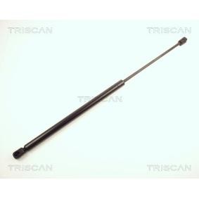 Heckklappendämpfer von TRISCAN