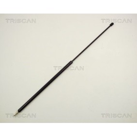 Motorhaubendämpfer 8710 29102 von TRISCAN günstig für 17,71 € online kaufen