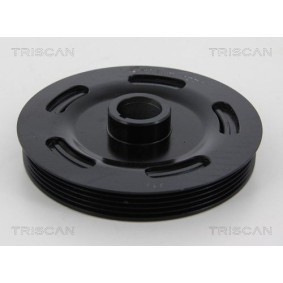 Compre Kit de suspensão, molas de TRISCAN online para 106 I (1A, 1C) a preços moderados