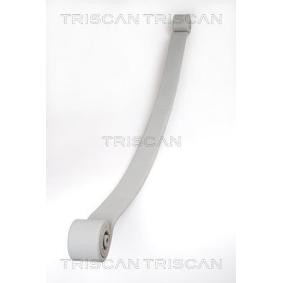 Federpaket 8765 23019 von TRISCAN günstig für 245,06 € online kaufen
