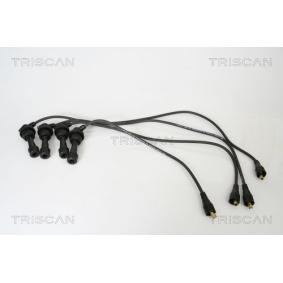 Zündleitungssatz von TRISCAN
