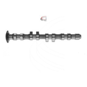 Nockenwelle von CAMPRO