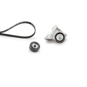 Comprar Juego de correas trapeciales poli V de GATES K016PK1893 a bajo precio de 78,24 €