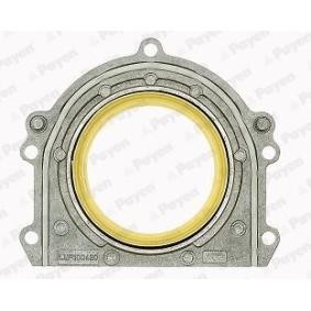 Kurbelwellensimmering LK5002 von PAYEN günstig für 63,84 € online kaufen