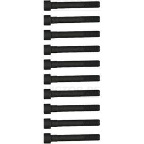 Zylinderkopfschraubensatz von REINZ