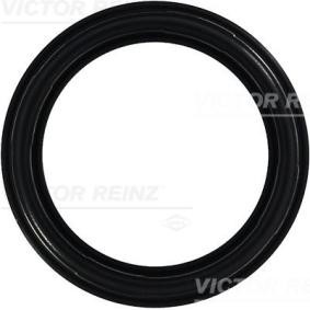 FIAT Ventildeckeldichtung von REINZ