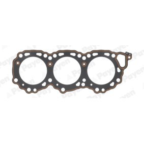 Compre Junta, cabeça do motor da PAYEN BM570 a um preço baixo por 26,02 €