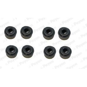 Compre Retentor de válvula de PAYEN online para S10 Extended Cab Pickup a preços moderados