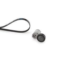 Comprar Juego de correas trapeciales poli V de GATES K065PK890 a bajo precio de 54,21 €