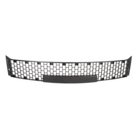 Acquista Griglia paraurti da BLIC 6502-07-3332910P a buon mercato per soli 17,50 €