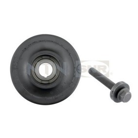 Riemenscheibe, Kurbelwelle DPF353.01K1 von SNR günstig für 135,11 € online kaufen