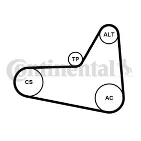 Achetez des Kit de courroie d'accessoire de chez CONTITECH en ligne pour Escort Mk6 Cabriolet (ALL) à prix modérés
