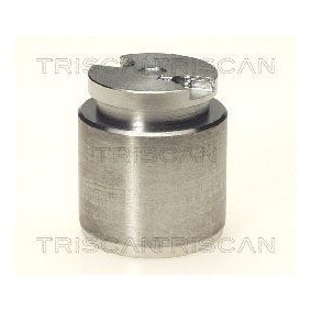 Temperaturschalter, Kühlerlüfter 8625 143085 von TRISCAN günstig für 12,03 € online kaufen