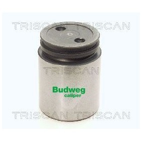 Compre Interruptor de temperatura, ventilador do radiador da TRISCAN 8625 176090 a um preço baixo por 19,29 €