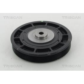 Riemenscheibe, Kurbelwelle 8643 10014 von TRISCAN günstig für 183,60 € online kaufen