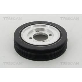 Riemenscheibe, Kurbelwelle 8643 24005 von TRISCAN günstig für 190,44 € online kaufen