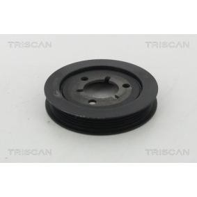 Riemenscheibe, Kurbelwelle 8643 28014 von TRISCAN günstig für 92,51 € online kaufen
