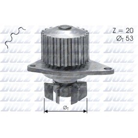 Wasserpumpe für ROVER von DOLZ
