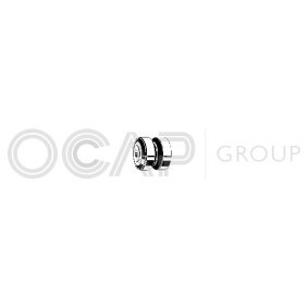 Halter, Querlenkerlagerung von OCAP