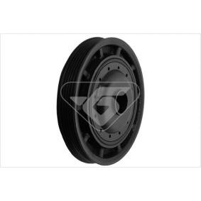 Acquista Puleggia cinghia albero a gomiti da HUTCHINSON DP036 a buon mercato per soli 103,81 €
