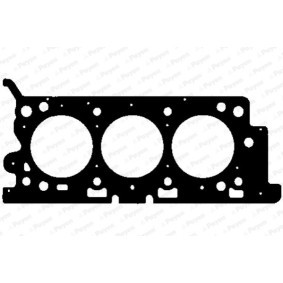 Comprar Junta de culata de PAYEN AG7810 a bajo precio de 68,45 €