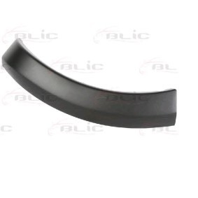 Zier- / Schutzleiste, Kotflügel 5703-04-1303597P von BLIC günstig für 24,51 € online kaufen