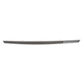 Achetez des Baguette et bande protectrice, grille de radiateur BLIC 6502-07-1303992P à prix pour 30,95 €