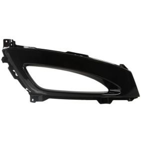 Acquista Griglia paraurti da BLIC 6502-07-3221916P a buon mercato per soli 30,13 €