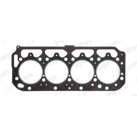 Compre Junta de culata de PAYEN online para Express 1000-1500 Camión de plataforma / Chasis a precios moderados