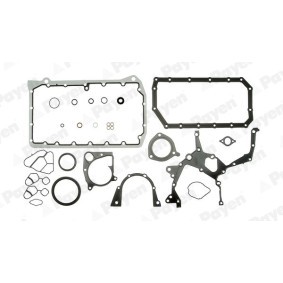 Dichtungssatz, Kurbelgehäuse EZ690 von PAYEN günstig für 228,30 € online kaufen