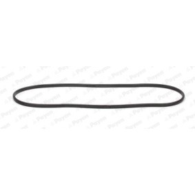Acquista Guarnizione, Copritestata da PAYEN JN504 a buon mercato per soli 13,93 €