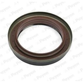 Wellendichtring, Differential von PAYEN NA5238