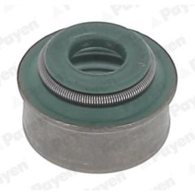 Compre Retentor de válvula de PAYEN online para S10 Extended Cab Pickup a preços moderados