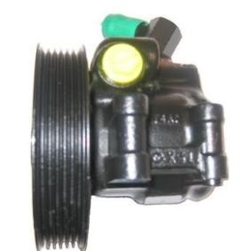 Servopumpe PI0319 von GENERAL RICAMBI günstig für 116,21 € online kaufen