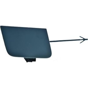 Klappe, Abschlepphaken 1031254 von DIEDERICHS günstig für 17,75 € online kaufen