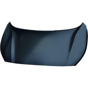Motorhaube 6554000 von DIEDERICHS günstig für 277,72 € online kaufen