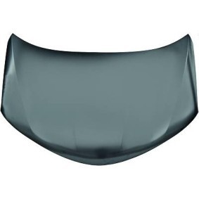 Motorhaube 6687400 von DIEDERICHS günstig für 215,01 € online kaufen