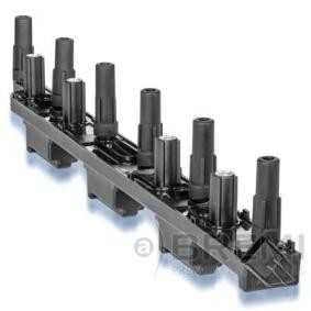 Zündspule 20541 von BREMI günstig für 178,26 € online kaufen