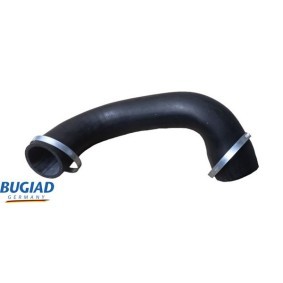 Acquista Supporto, Griglia radiatore da BUGIAD BSP20873 a buon mercato per soli 13,48 €