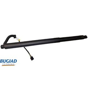 Köp Backspegel av BUGIAD BSP22312 till det låga priset 722,57 kr
