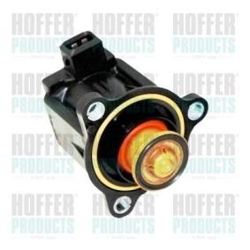 Acquista Valvola ricircolo aria di spinta, Compressore da HOFFER 8029290 a buon mercato per soli 145,19 €