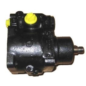 Compre Bomba de direção de LIZARTE online para LT 40-55 I Camião de plataforma / Chassis (293-909) a preços moderados