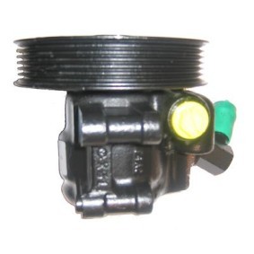 Servopumpe von LIZARTE für L 300 III Pritsche / Fahrgestell (P1_T ) günstig online kaufen