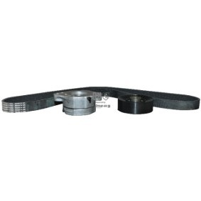 Keilrippenriemensatz 1118112719 von JP GROUP günstig für 59,38 € online kaufen