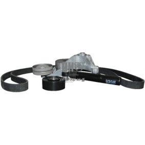 Keilrippenriemensatz 1118112819 von JP GROUP günstig für 58,54 € online kaufen