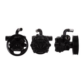 Achetez des Pompe de direction assistée ELSTOCK 15-1372 à prix pour 287,61 €